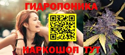 PSILOCYBIN Конаково
