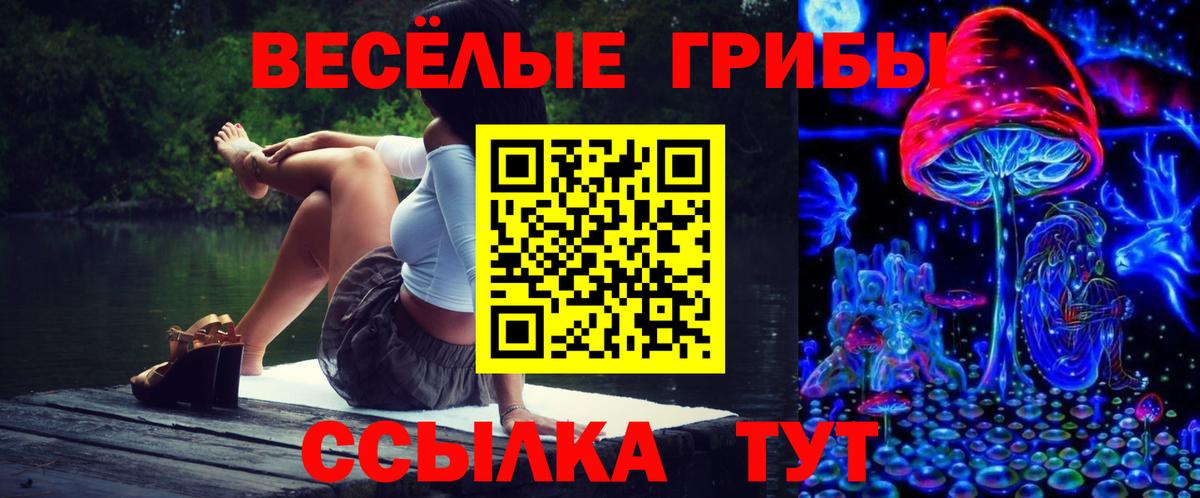 Псилоцибиновые грибы GOLDEN TEACHER Звенигород