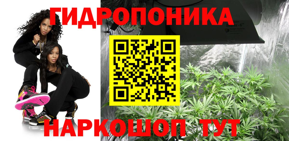Звенигород  Канабис White Widow  Марихуана THC 21%  Бошки марихуана сатива  Вход с VPN  Каннабис индика 